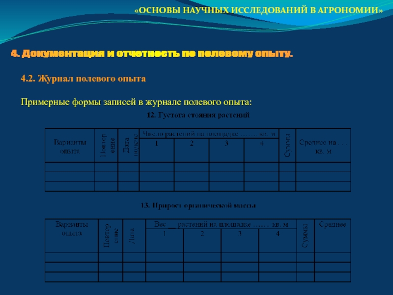 Полевой журнал геолога образец