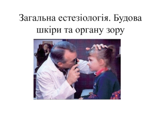 Загальна естезіологія. Будова шкіри та органу зору