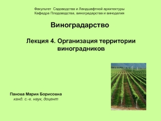 Организация территории виноградников