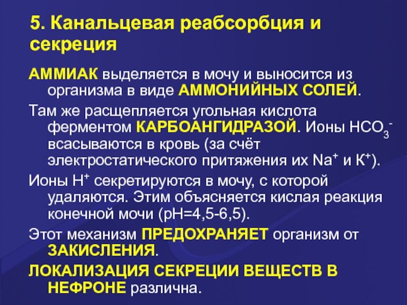 Процесс секреции происходит в. Канальцевая реабсорбция. Канальцевая реабсорбция и секреция. Методика определения канальцевой реабсорбции и секреции. Канальцевая реабсорбция виды.