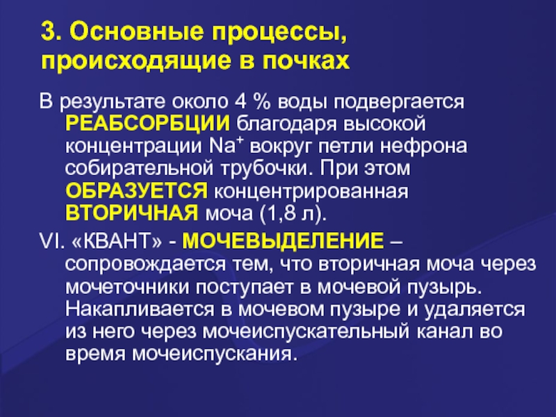 Процесс в результате которого из. Процессы происхождения в почках. Процессы в почках. Какой процесс происходит в собирательной трубочке а почке?. В результате какого процесса происходит образование гетита.