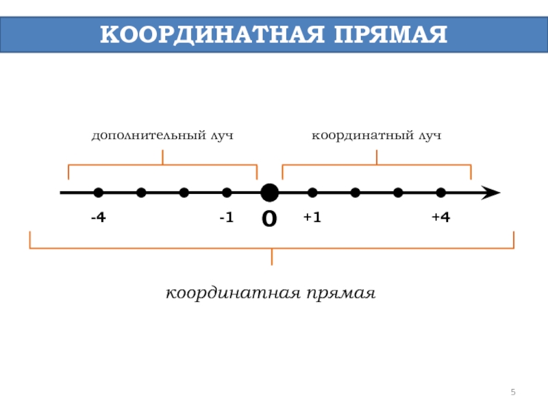 Координатная прямая картинка