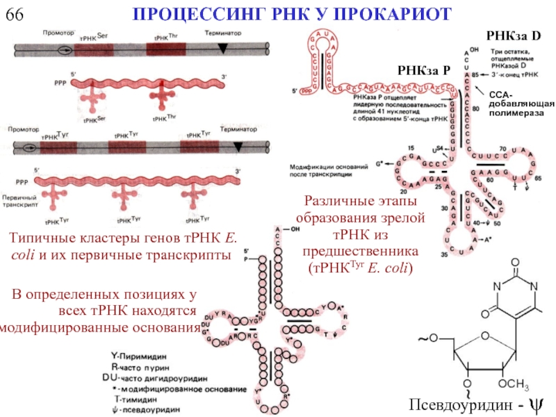 Процессинг осуществляется по схеме