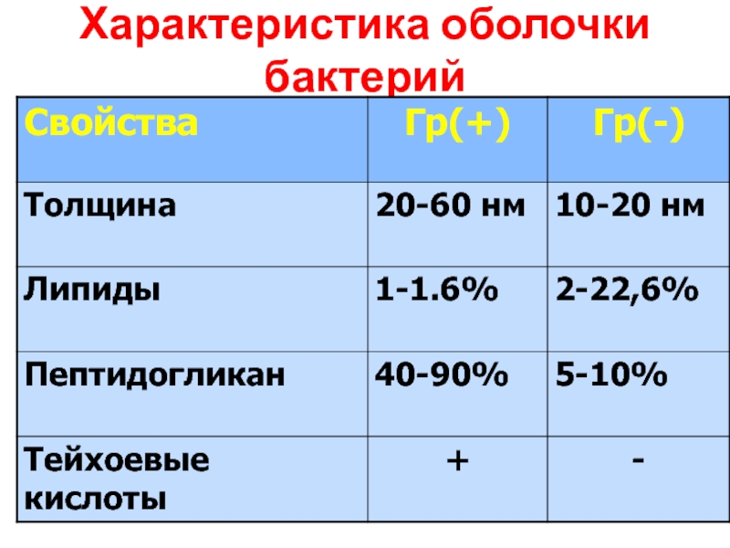 Бациллы характеристика. Свойства оболочки.