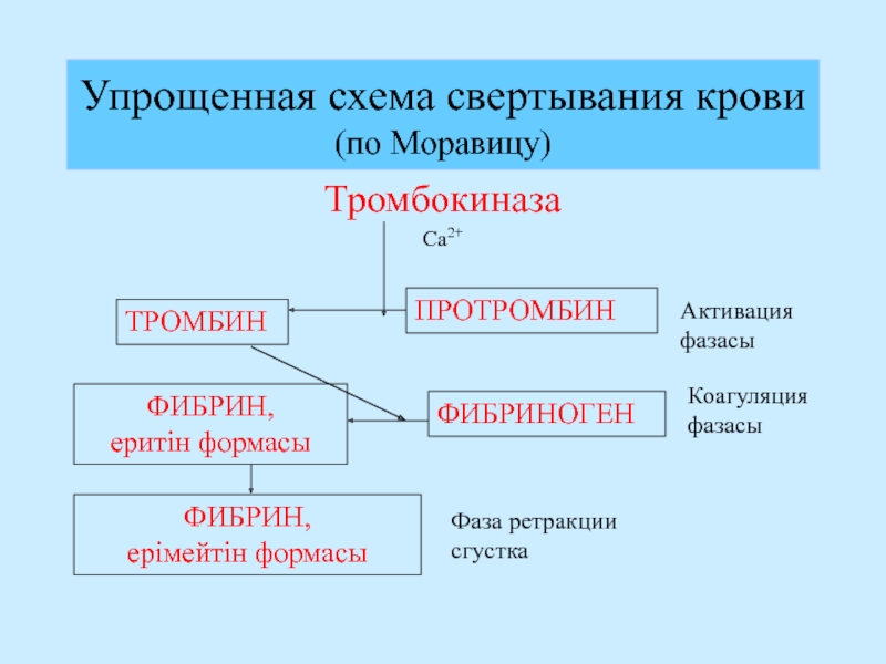 Коагуляция крови схема