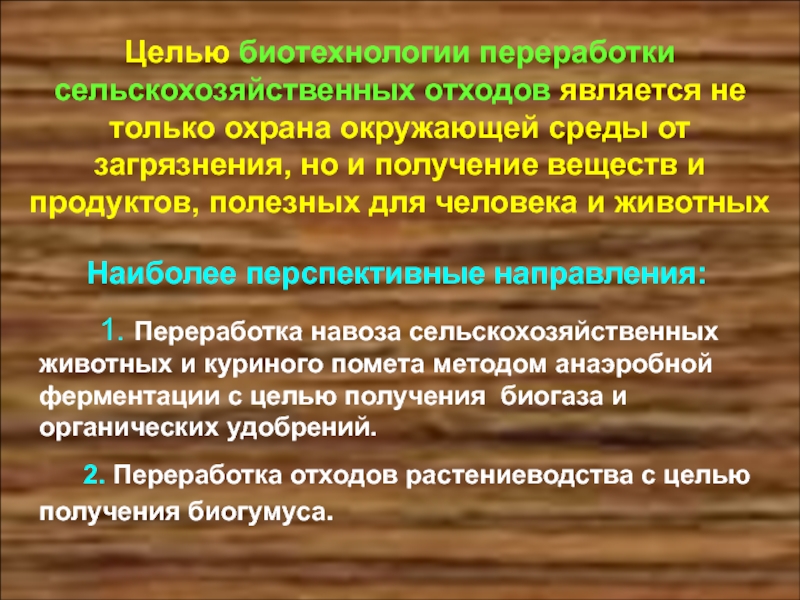 Контрольная работа по теме Биотехнология и переработка отходов. Биогаз