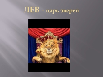 Лев – царь зверей