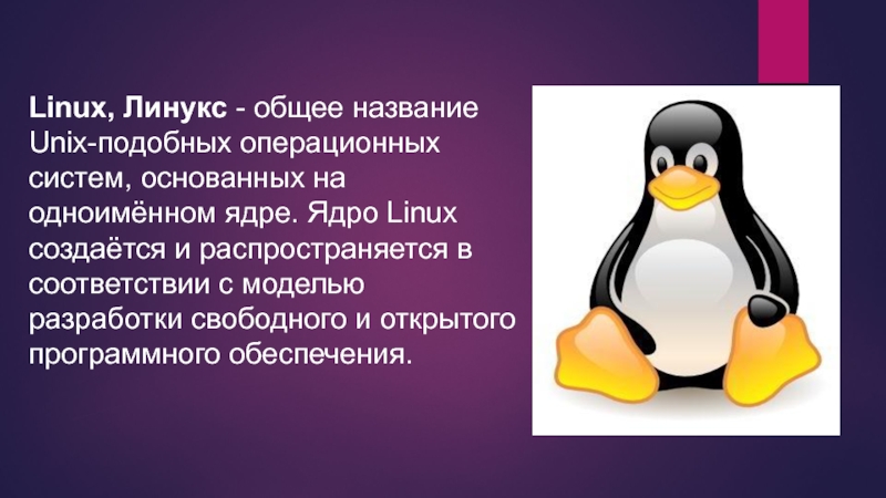 Реферат: История развития и разработки операционной системы Linux