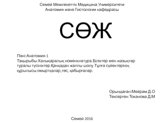 Біліктер мен жазықтар туралы түсініктер. Қанқадан жалпы шолу. Тұлға сүйектерінің құрылысы: омыртқалар, төс, қабырғалар