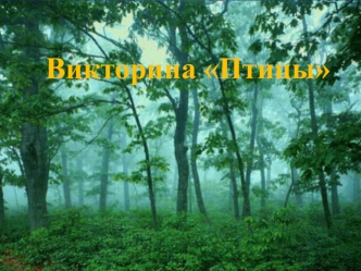 Птицы. Викторина