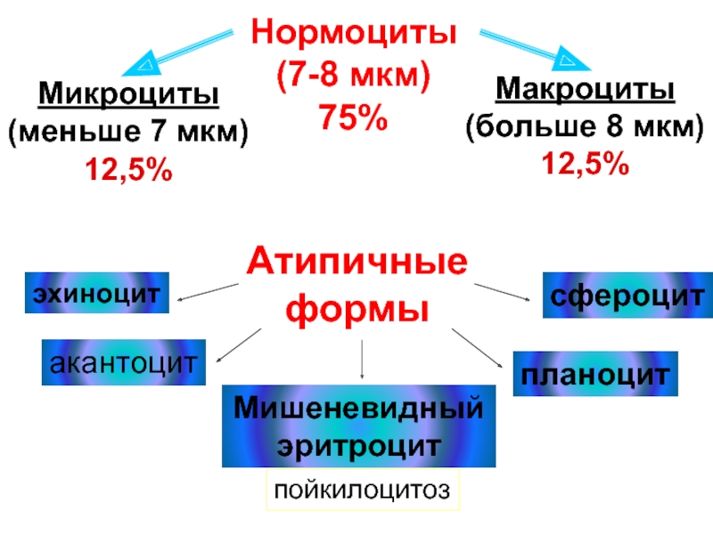 Нормоциты микроциты макроциты. Нормоциты микроциты макроциты в норме. Эритроциты макроциты. Анизоцитоз макроцитоз в общем анализе крови что.