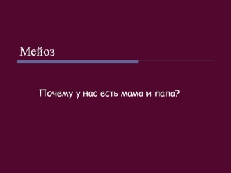 Мейоз. Типы и фазы мейоза