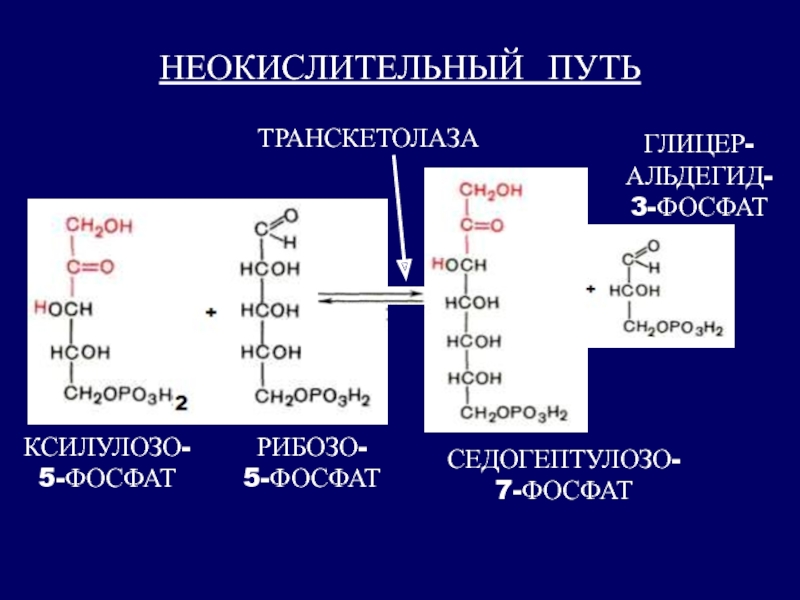 Превращение глюкозы в молочную кислоту