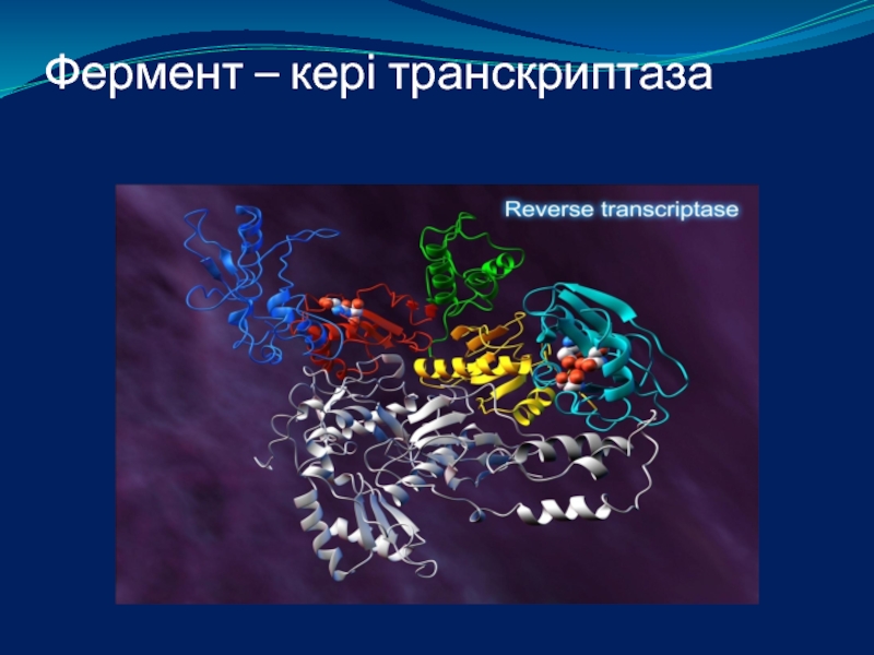 Обратная транскриптаза участвует в процессе. Транскриптаза. Обратная транскриптаза функции. Транскриптаза картина Васильевой. Как действует Обратная транскриптаза.