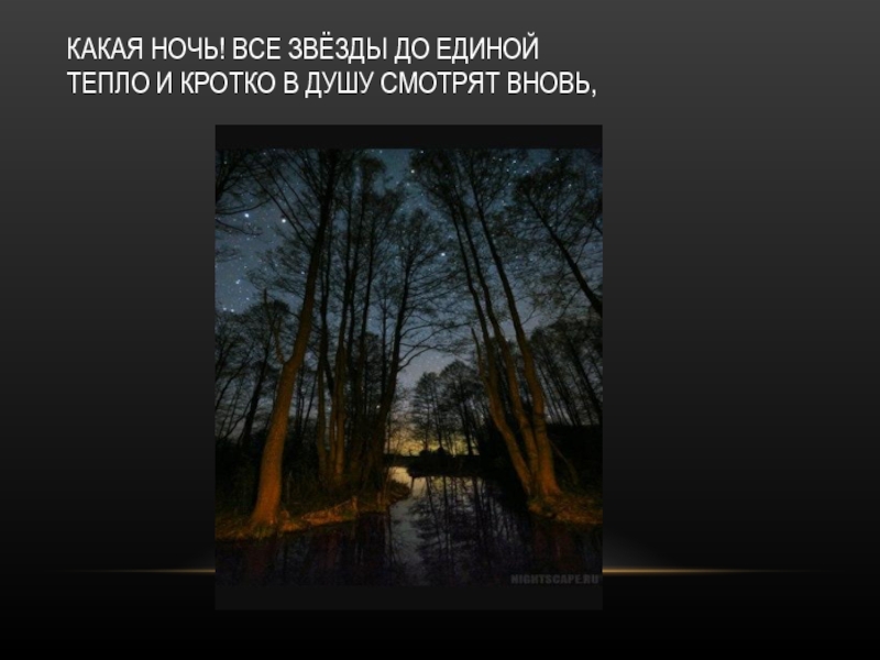 Фет 6 класс майская ночь. Афанасий Афанасьевич Фет еще Майская ночь. Какая ночь все звезды до Единой тепло и кротко. Все звёзды до Единой тепло и кротко в душу. Какая ночь! Все звезды... Тепло и кротко смотрят в душу вновь….