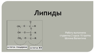 Липиды. Классификация липидов