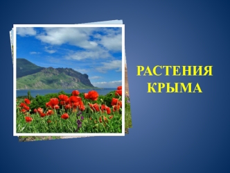 Растения Крыма