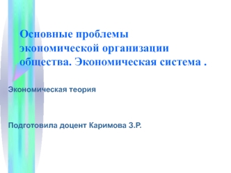 Основные проблемы экономической организации общества. Экономическая система