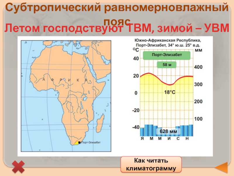 Температура в январе в субтропическом поясе. Климатограмма. Субтропическая климатограмма. Субтропический пояс Африки. Климатограмма субтропического климата.
