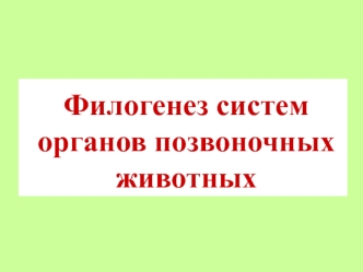 Филогенез систем органов позвоночных животных