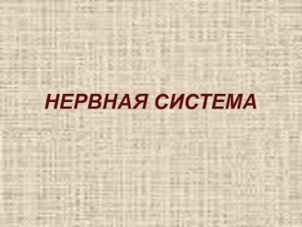 Нервная система