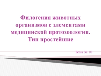 Филогения животных организмов с элементами медицинской протозоологии. Тип простейшие