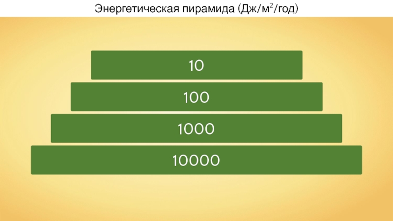 100 1000 лет