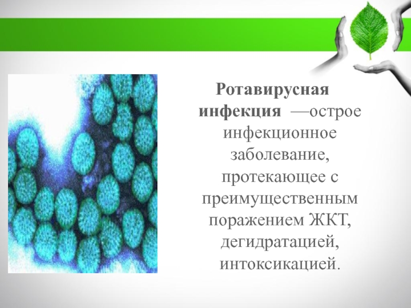 Тест на ротавирусных инфекций