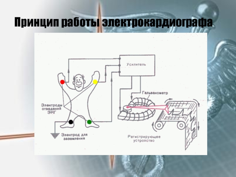 Структурная схема электрокардиографа