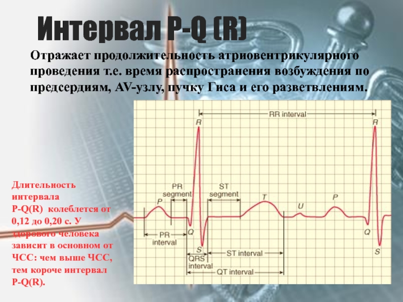 Pq на экг. Интервал PQ на ЭКГ отражает процесс. Интервал PQ на ЭКГ норма. Длительность интервала PQ на ЭКГ. Нормальная Длительность интервала PQ на ЭКГ.