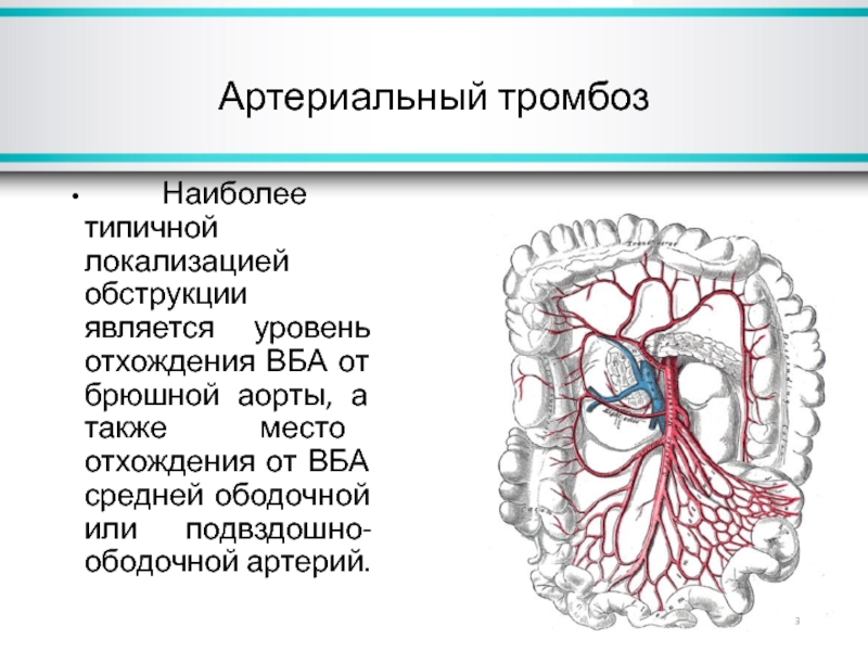 Тромбоз артерий верхних. Ветви верхней брыжеечной артерии анатомия. Ветви верхней и нижней брыжеечной артерии. Мезентериальные сосуды анатомия. Нижняя брыжеечная Вена тромбоз кт.