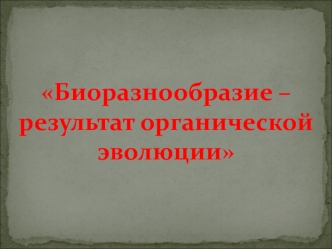 Биоразнообразие – результат органической эволюции