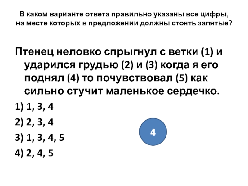 Другой вариант ответа. Птенец неловко спрыгнул с ветки и ударился. Птенец неловко спрыгнул с ветки и ударился знаки препинания. Птенец неловко спрыгнул с ветки и ударился разбор предложений. Птенец неловко спрыгнул с ветки и ударился грудью и когда я его.