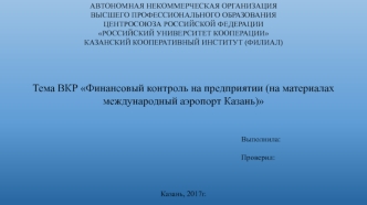 Финансовый контроль на предприятии (на материалах международный аэропорт Казань)