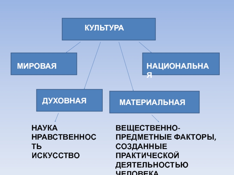 Наука материальная культура