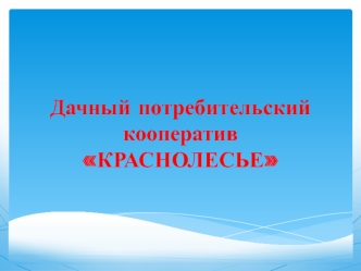 Дачный потребительский кооператив Краснолесье. Инструкция для приобретения земельного участка