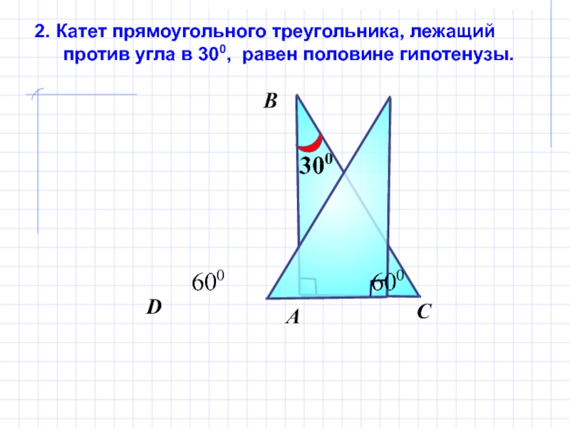 Катет.