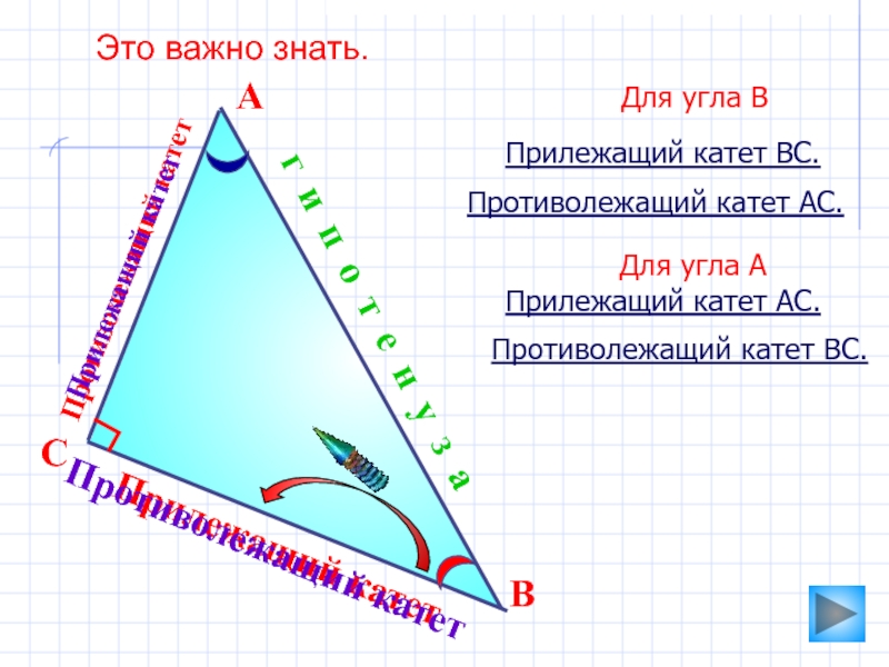 Найти угол прилежащего катета. Прилежащий и противолежащий катет. Катет противолежащий углу. Противолежащие углы. Катет прилежащий к углу.