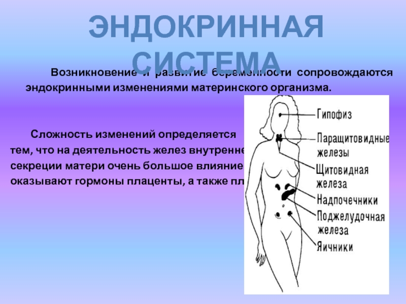 Изменения в организме женщины при беременности презентация