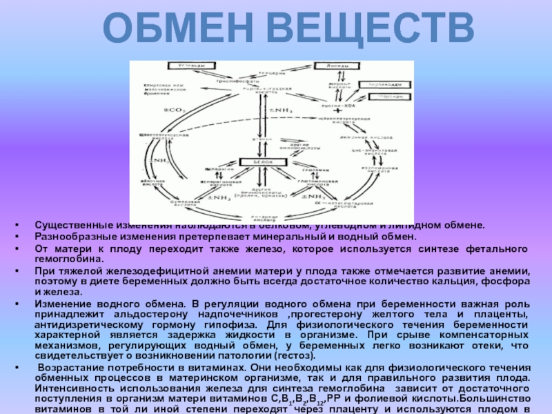 План претерпел существенные изменения