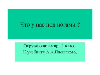 Камни бывают разные по форме, по размеру, по цвету