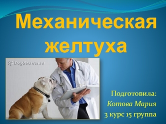 Механическая желтуха