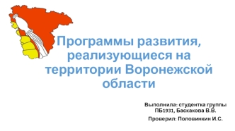 Программы развития, реализующиеся на территории Воронежской области