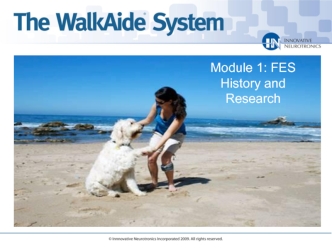 The WalkAide System