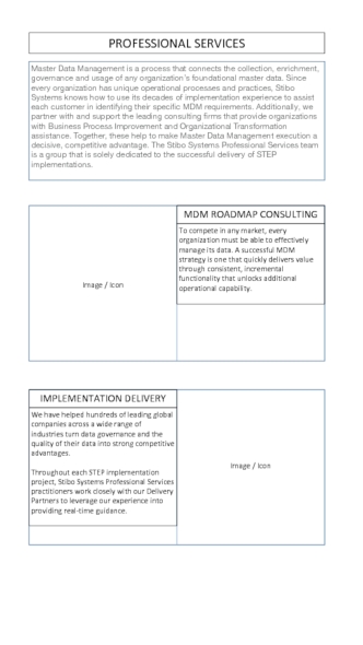 Stibo. Professional Services. Web content v4CW