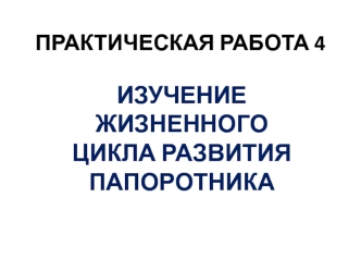 Изучение жизненного цикла развития папоротника