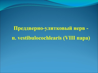 Преддверно-улитковый нерв п. vestibulocochlearis (VIII пара)