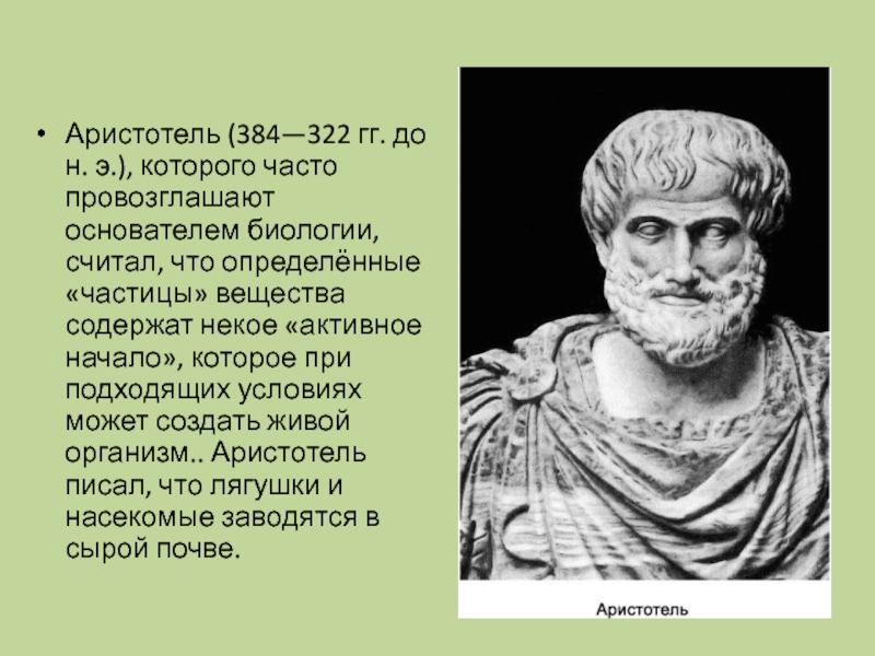 Аристотель биология. Аристотель 384-322 до н.э. Аристотель (384–322 до н. э.), греческий философ.. Аристотель (384–322 гг. до н. э.), управление. Аристотель и Ломоносов.