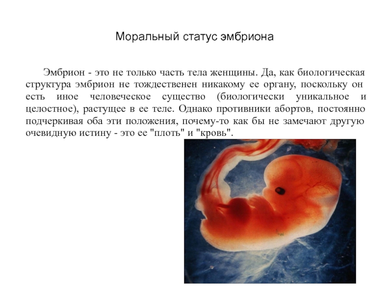 Плод становится человеком. Моральный статус эмбриона.