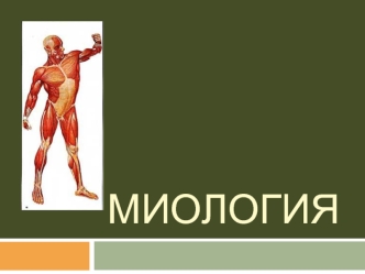 Миология